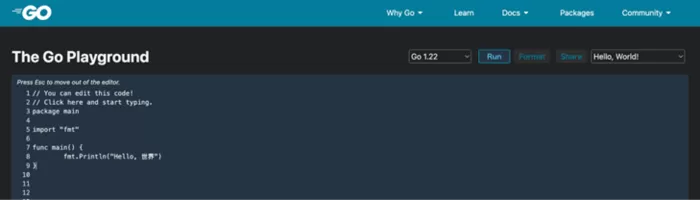 The Go Playground.png